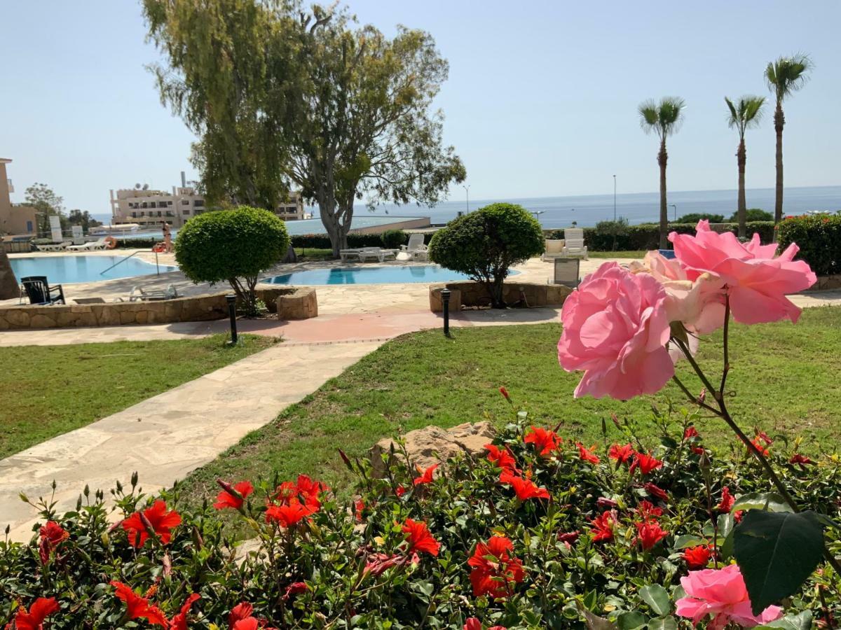 Kings Palace Indigo 109 Paphos Buitenkant foto