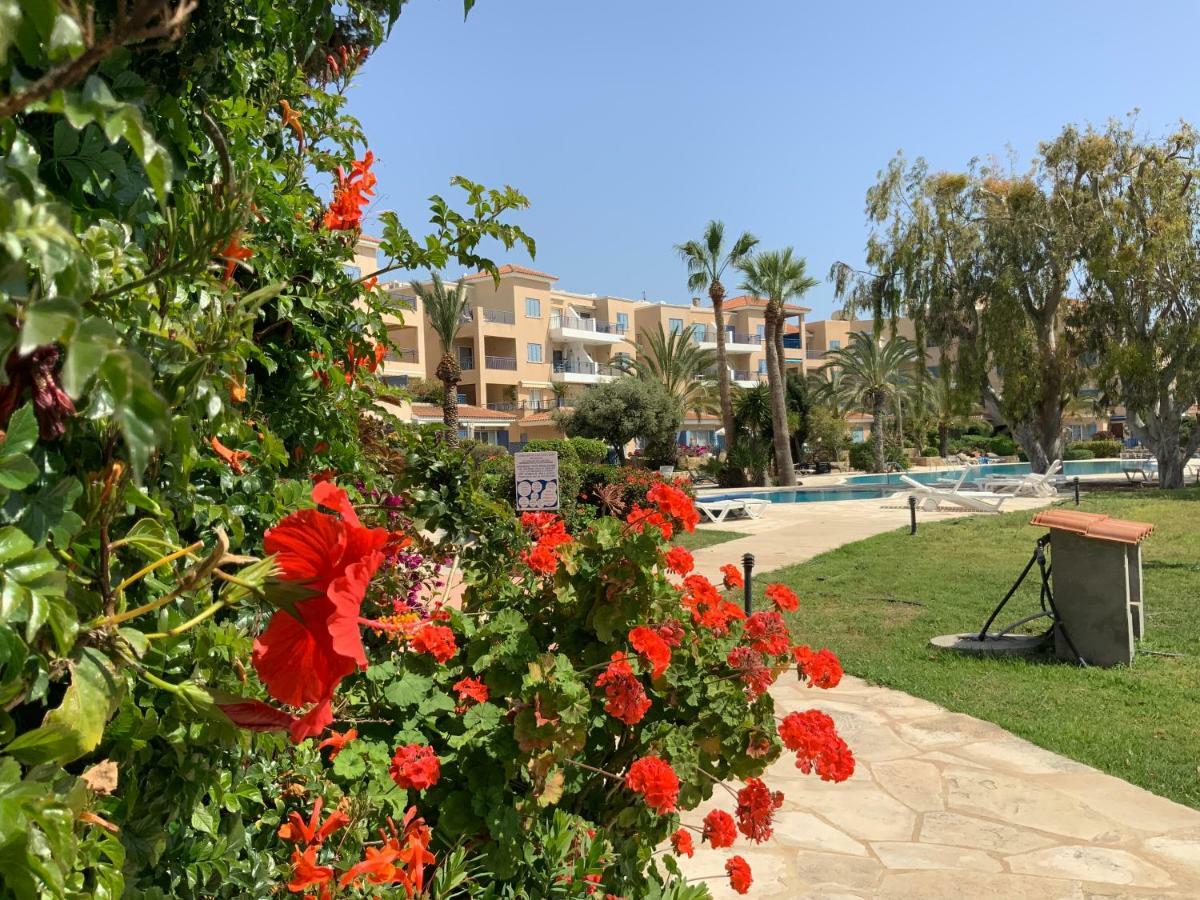 Kings Palace Indigo 109 Paphos Buitenkant foto